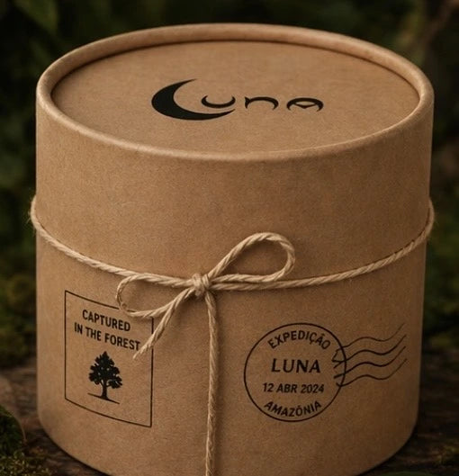 Combo 1 (1 Livrinho + 1 Pelúcia LUNA) — 3/7
